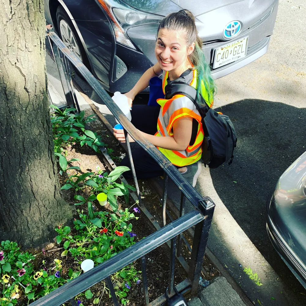 Student researcher sampling insects in a New York City tree pit